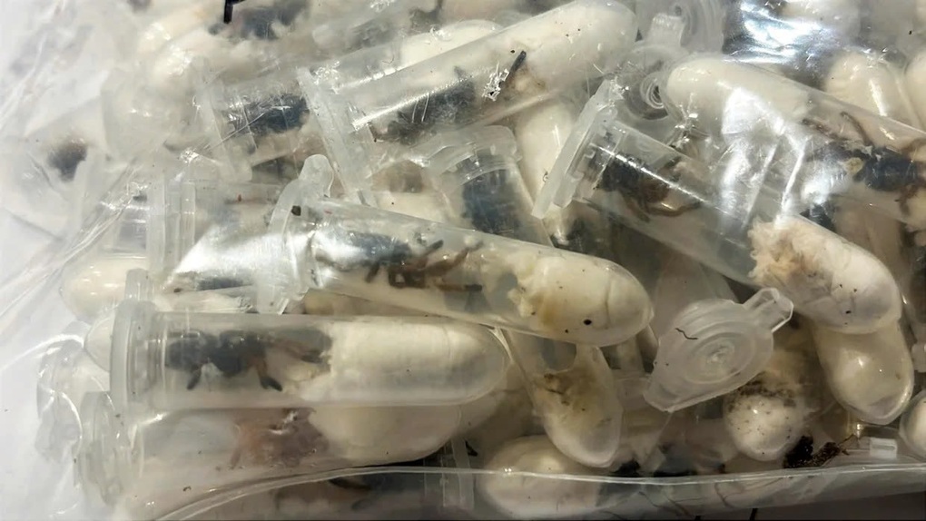 Tin tức 1